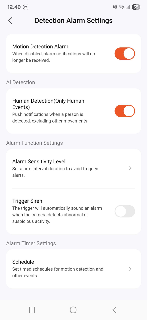 Menuen for 'Detection Alarm Settings'